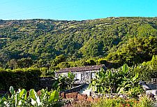 Casa das Bananeiras